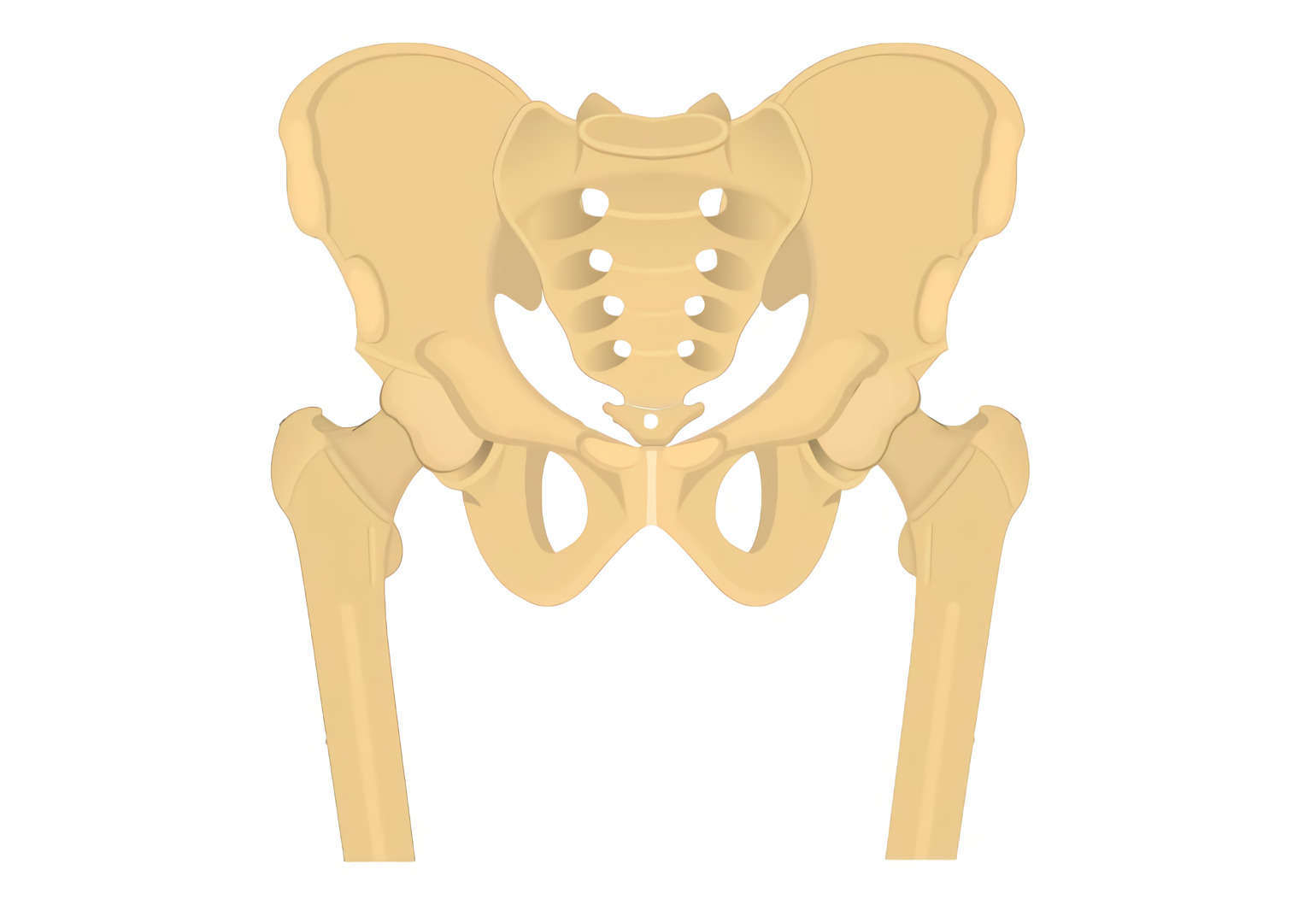 Sacroiliac Dysfunctions (Sacral Pain)  Pelvic Health Physical Therapy -  Morris County's Most Experienced Pelvic Floor Team